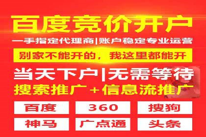 解析SEM投放策略：从经典案例看效果
